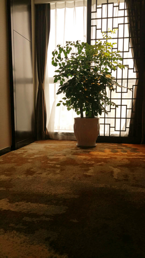 Others 3, Caelus Boutique Hotel, Chengdu