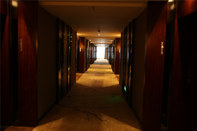 Others 5, Echeng Hotel Wuhan Optics Valley Square Yangjiawan Metro Station, Wuhan