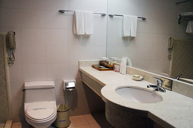 Bathroom, Meike Building (Urumqi Xiaoxigou Subway Station), Ürümqi