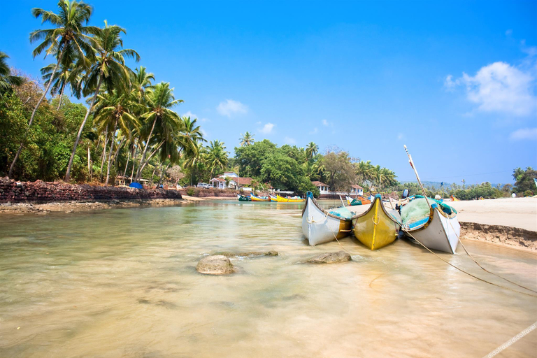 Others 4, sai residency baga, North Goa