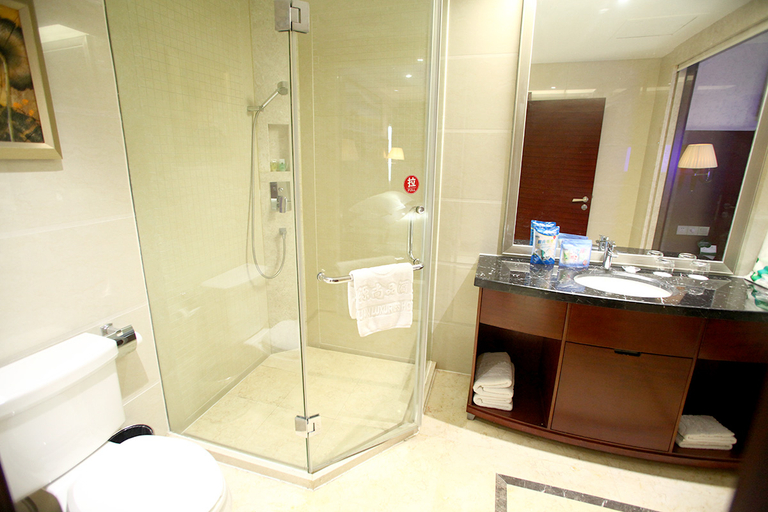 Bathroom 2, ウィーンホテル(), Changde