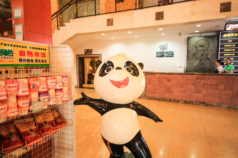 Others 3, Bifengxia Xiangyuan Cute Animal Theme Hotel, Ya'an