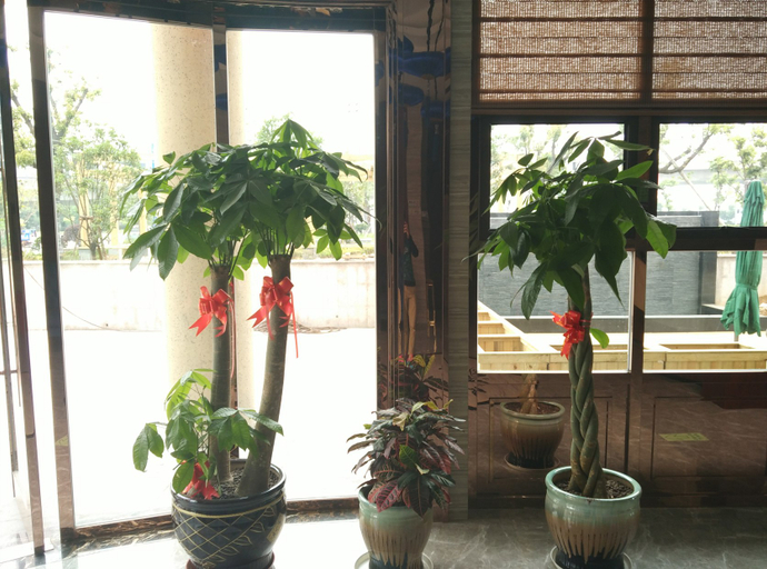 Others 4, The Tophams Hotel Suez, Wenzhou