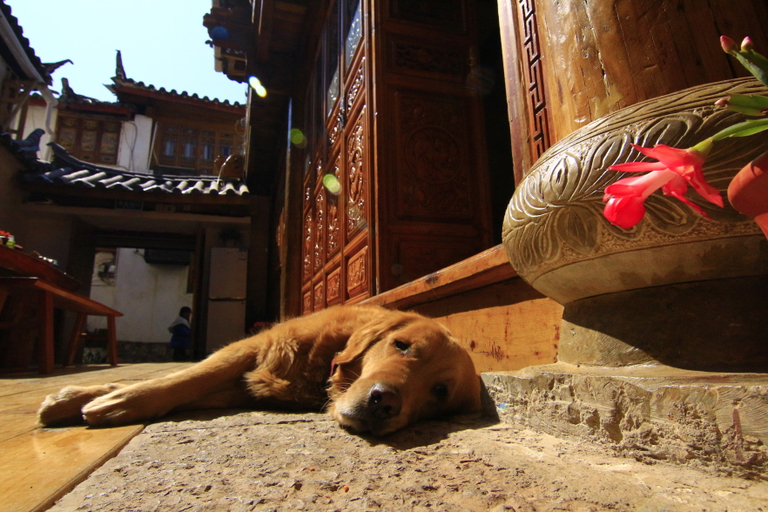 Bedroom 2, Yinhe Boutique Inn, Lijiang