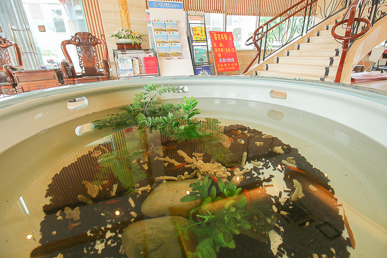 Food & Drinks, Tangsheng Hotel (jinniuling Park, Haikou), Haikou