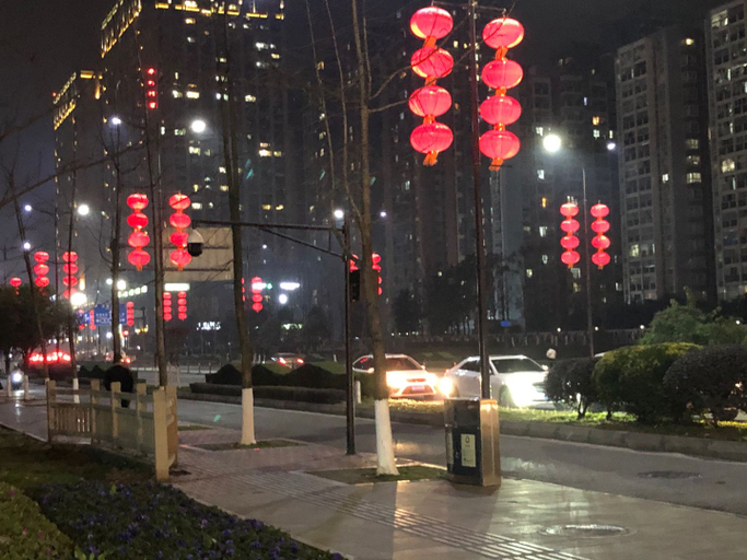 Others 4, Panda Prince Hotel (Chengdu Dafeng Store), Chengdu