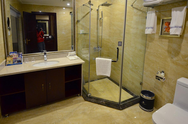Bathroom 3, Senlin Hotel, Guiyang