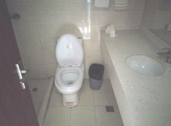 Bathroom 2, Qingxige Business Hotel, Nanjing