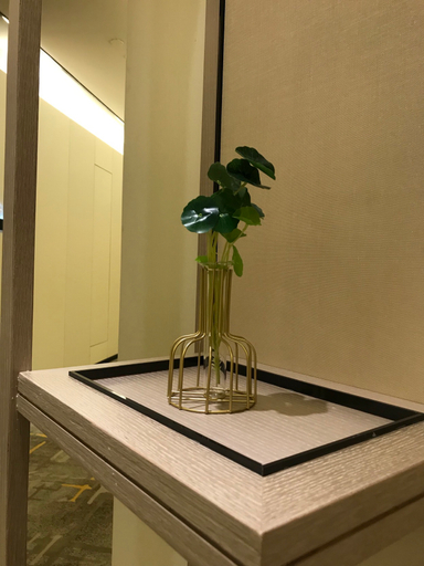 Others 2, Tianguo Light Luxury Apartment Hotel (Foshan Dali Linli Square), Foshan