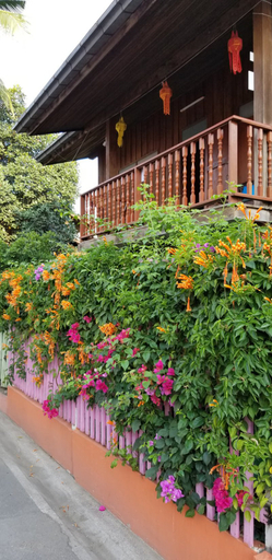 Others 3, Siriwan House, Muang Chiang Mai