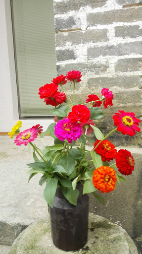 Others 5, Huangshan Hetianli Homestay, Huangshan