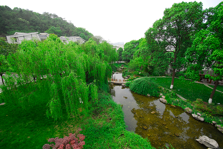 Others 5, Fulejiuzhou International Hotel, Mianyang