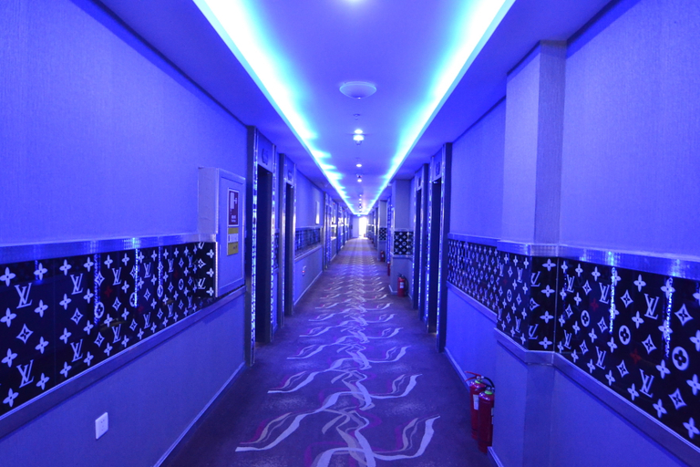Others 5, Lavande, Harbin