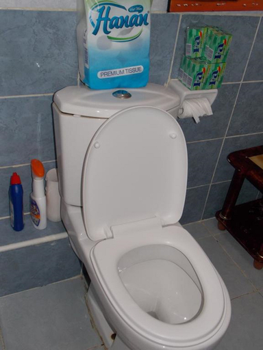 Bathroom 5, Marias Jkia Apartment, Mavoko