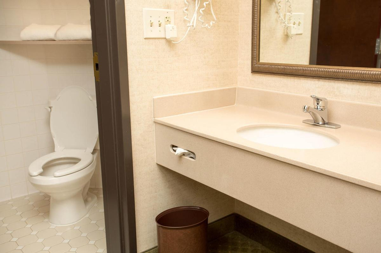 Bathroom, Drury Inn & Suites Atlanta Airport, Fulton