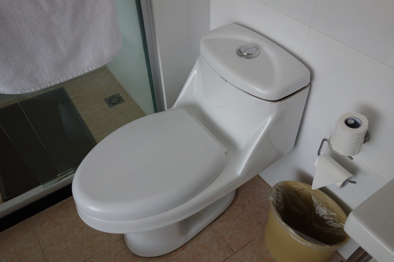 Bathroom 3, Hanting Hotel Shanghai Zhizaoju Road, Shanghai