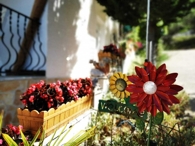 Food & Drinks, Apartments Sepcevic, Murter