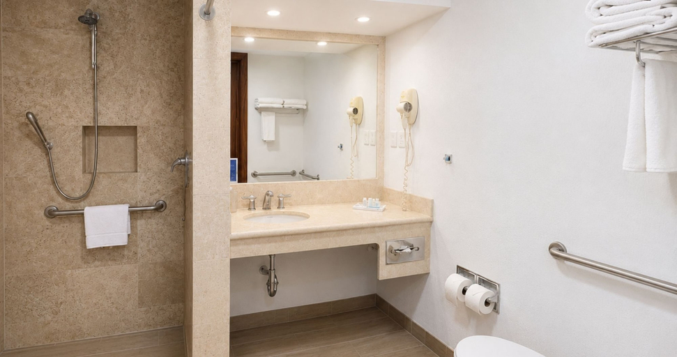 Bathroom 4, Hotel Panorama, San Luis Potosí