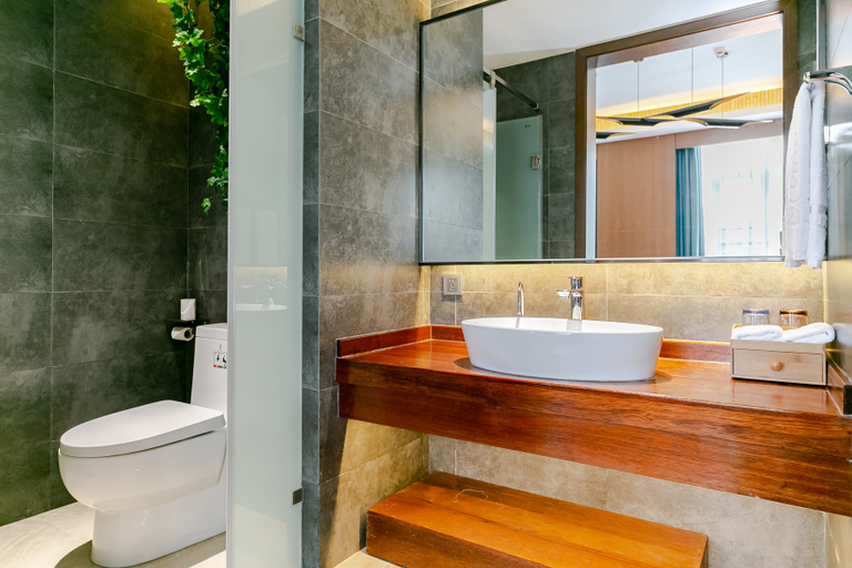 Bathroom 3, Li Rui Xiang Zhangshu Garden Hotel (Dujiangyan Scenic Area), Chengdu