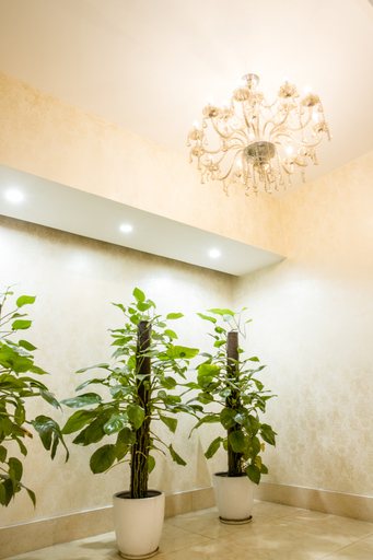Others 5, Fushenda Yujing Hotel (Shenzhen Futian Chiwei Subway Station), Shenzhen