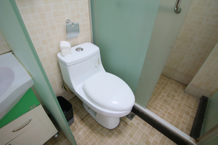 Bathroom 4, Hanting Hotel Shanghai Century Avenue Metro Station, Shanghai