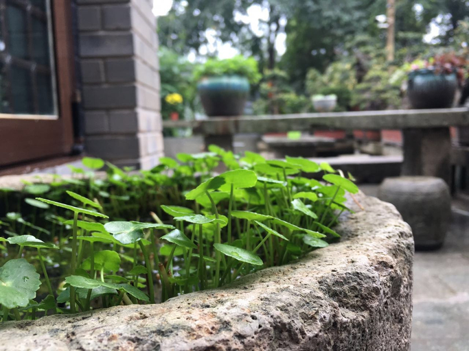 Others 5, Zhangshe Courtyard Hotel, Hangzhou