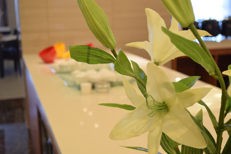 Others 4, 인하이 가든 호텔(Yinhai Garden Hotel), Tianjin