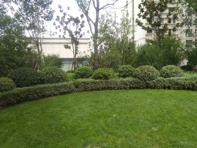 Others 4, Zhengzhou 520 Theme Hotel, Zhengzhou