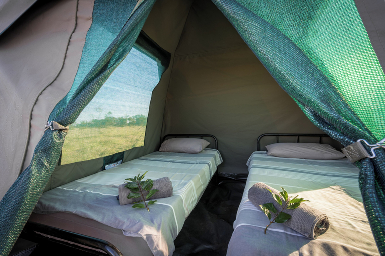 Room, Satara Wild Camp- Greater Kruger, Ehlanzeni
