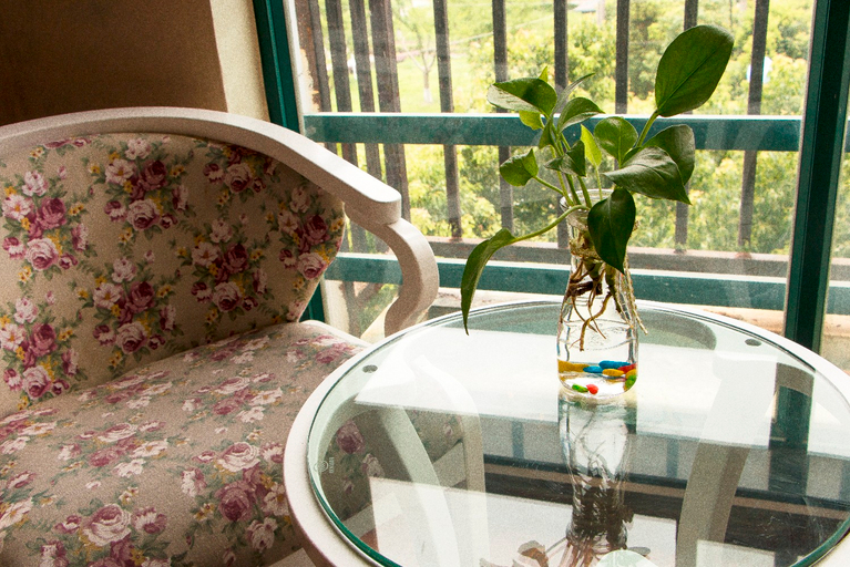 Others 3, Qingya Hotel (Jiaxing Wangdian), Jiaxing