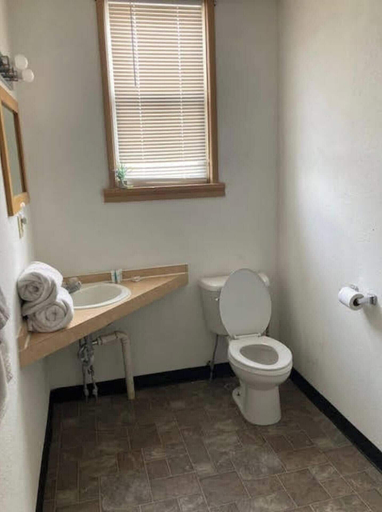 Bathroom 3, OYO Historic Heritage Motel Kansas, Lane