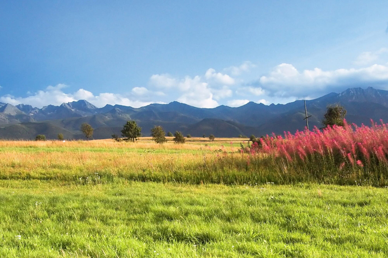 View from property 2, A Large Mountain-style House With a spa Area, Tatra