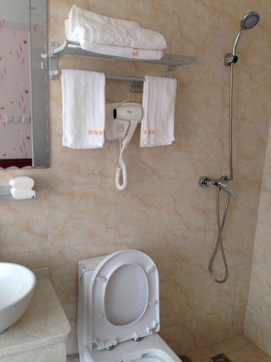 Bathroom, Aiyi Business Hotel, Shanghai