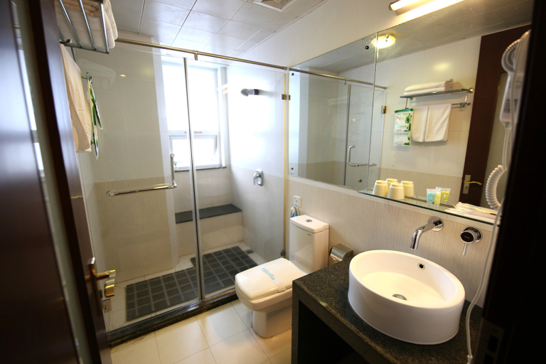 Bathroom 3, Lizhi Fengshang Hotel, Jingdezhen