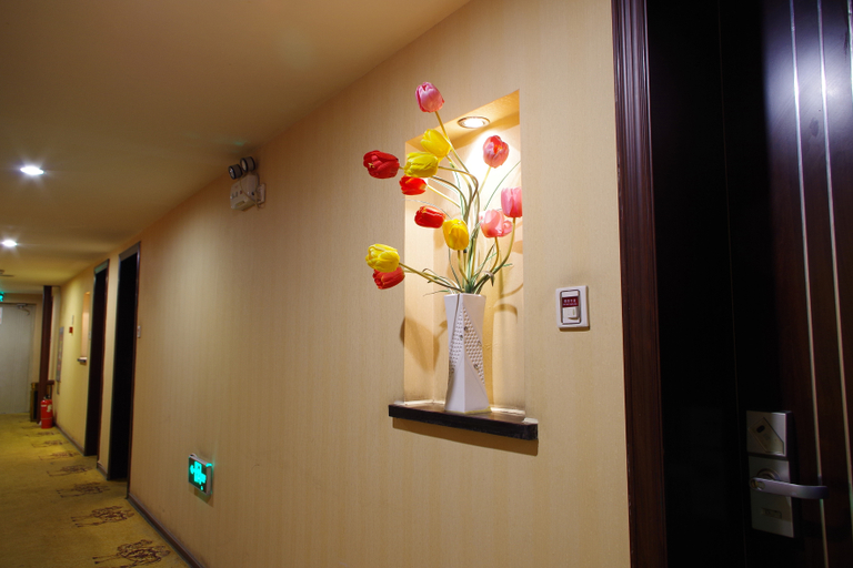 Others 4, Damo Yijia Leisure Hotel, Ürümqi
