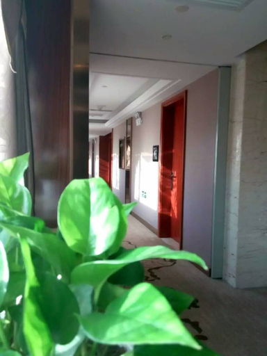 Others 3, Akadiya Hotel, Tongliao