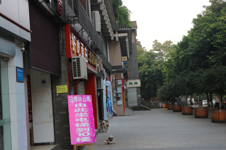 Others 5, Baihualin Fashionable Hostel, Chongqing