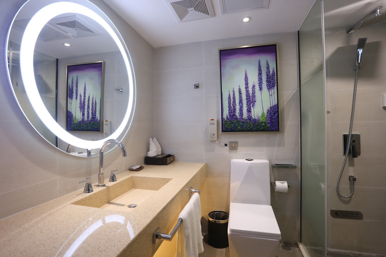 Bathroom 2, ラヴァンドホテル(センター), Chengdu