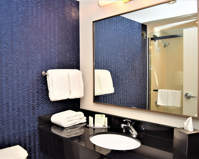 Bathroom 3, FAIRFIELD INN MARRIOTT CORNING, Steuben