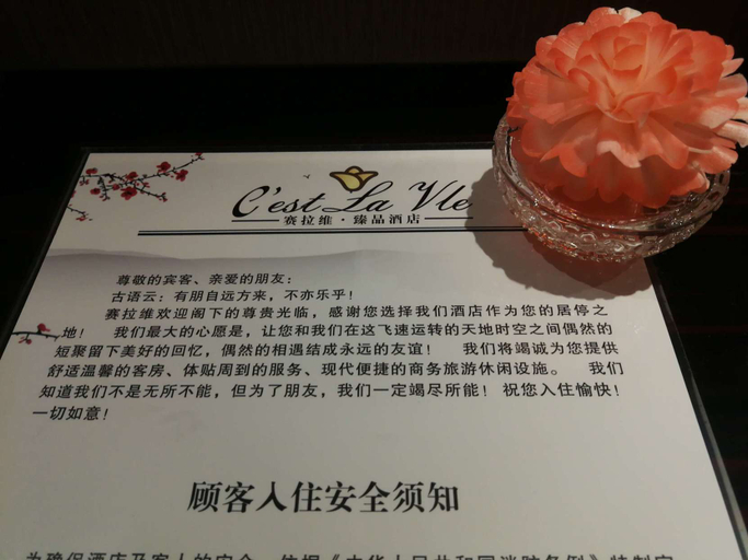 Food & Drinks, Sailawei Zhenpin Hotel (Yaohai Wanda), Hefei