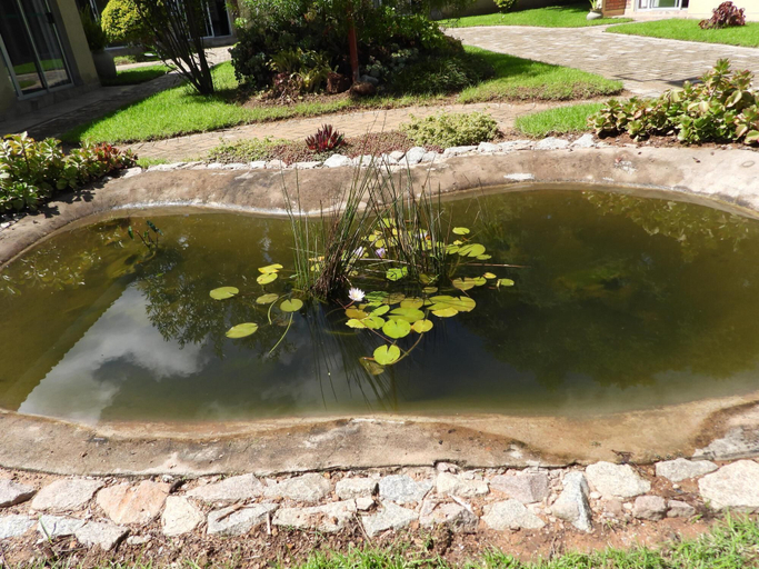 3, 2 Bedroomed Apartment With En-suite and Kitchenette - 2067, Harare