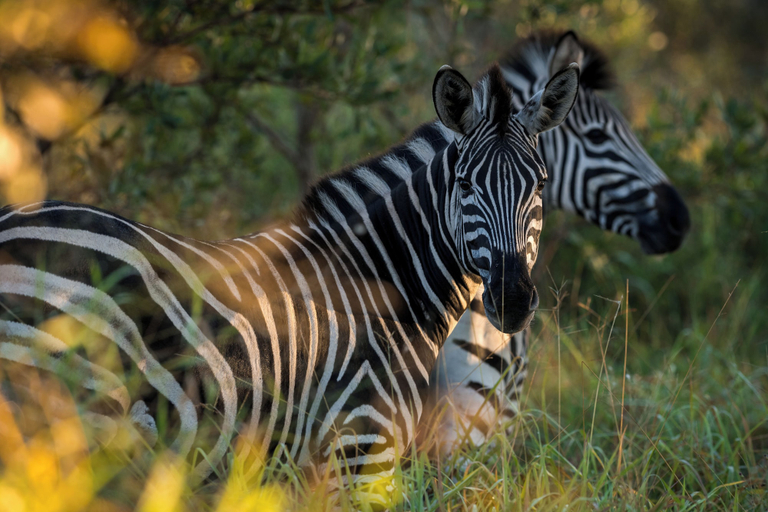 Miscellaneous 4, Satara Wild Camp- Greater Kruger, Ehlanzeni
