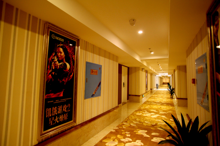 Others 5, Yuzhilin Hotel, Yiyang