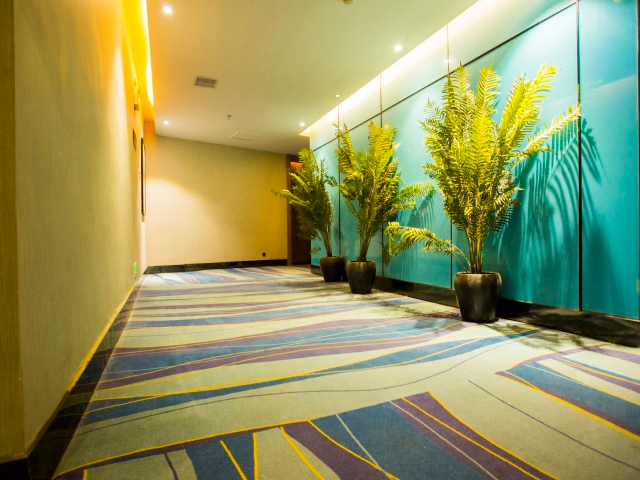 Others 5, chongyangyimeiinternationalHotel, Xianning