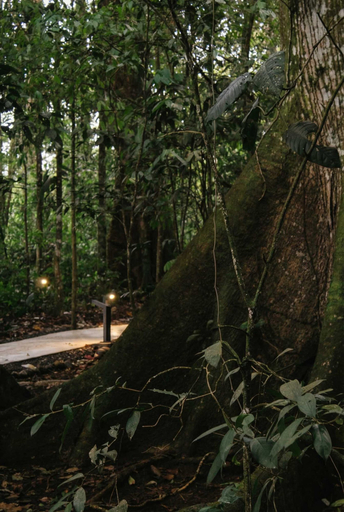 Room 2, Villa Perezoso - Nuak Jungle, San Carlos