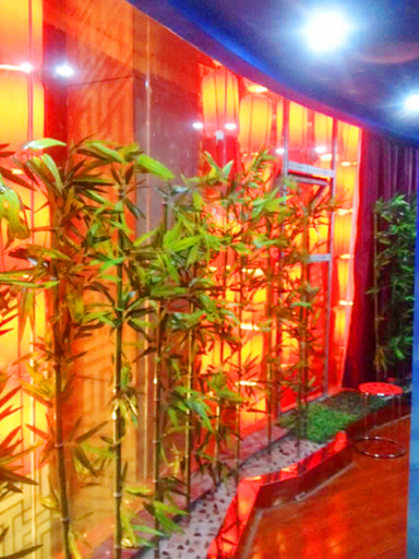 Others 3, Tangyan Hotel, Wuhan