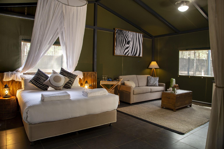 Bedroom 3, Taronga Western Plains Zoo - Zoofari Lodge, Dubbo - Pt A