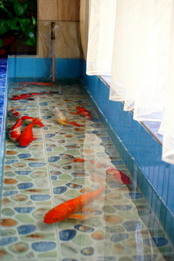 Bathroom, hepuhouhaizhutejiudiao, Beihai