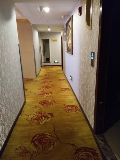 Others 4, Dilong Hotel, Chongqing
