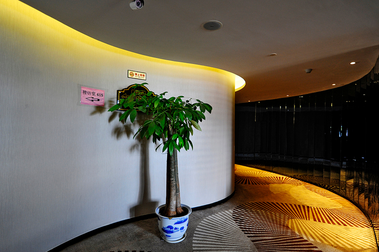 Others 4, Tianci Hotel (Jiangsu Nanshan Park Xinzhi Hotel), Jiujiang